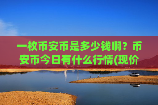 一枚币安币是多少钱啊？币安币今日有什么行情(现价5270.47元)
