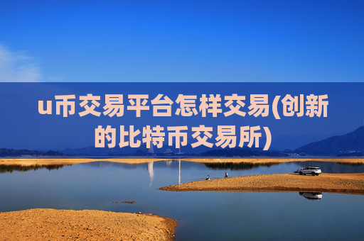 u币交易平台怎样交易(创新的比特币交易所)