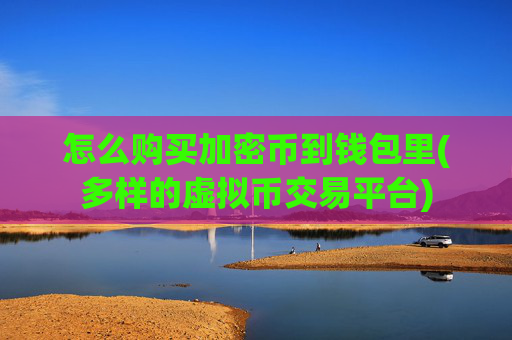 怎么购买加密币到钱包里(多样的虚拟币交易平台)