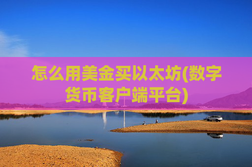 怎么用美金买以太坊(数字货币客户端平台)