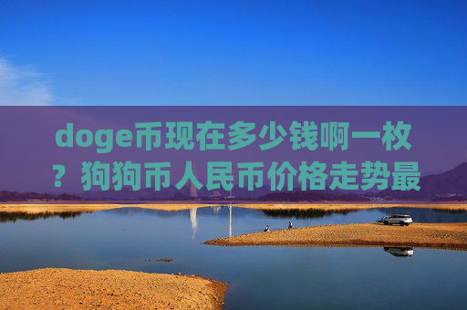 doge币现在多少钱啊一枚？狗狗币人民币价格走势最新(现价3.1795元)