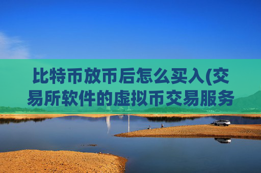 比特币放币后怎么买入(交易所软件的虚拟币交易服务)