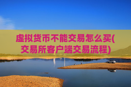 虚拟货币不能交易怎么买(交易所客户端交易流程)
