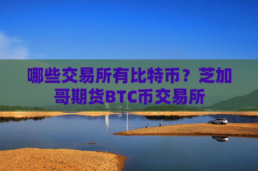 哪些交易所有比特币？芝加哥期货BTC币交易所