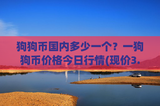 狗狗币国内多少一个？一狗狗币价格今日行情(现价3.1716元)