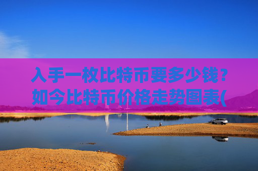 入手一枚比特币要多少钱？如今比特币价格走势图表(现价710111.98元)