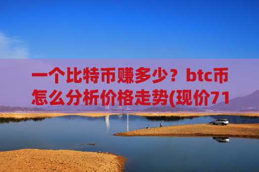 一个比特币赚多少？btc币怎么分析价格走势(现价711254.9元)