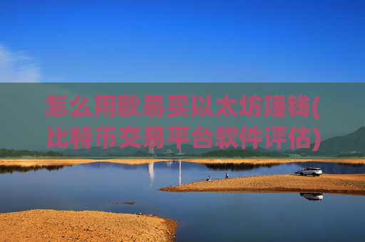 怎么用欧易买以太坊赚钱(比特币交易平台软件评估)