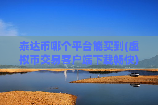 泰达币哪个平台能买到(虚拟币交易客户端下载畅快)