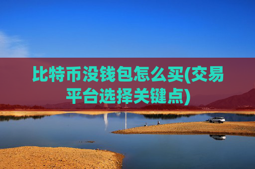 比特币没钱包怎么买(交易平台选择关键点)