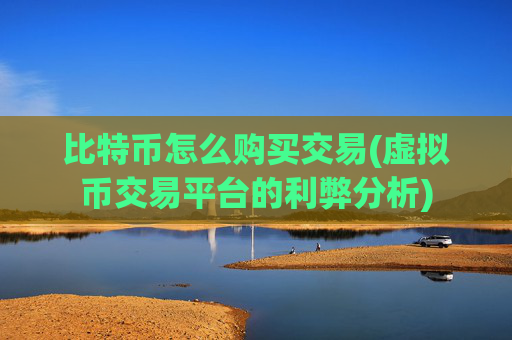 比特币怎么购买交易(虚拟币交易平台的利弊分析)