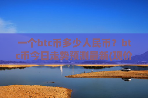 一个btc币多少人民币？btc币今日走势预测最新(现价707346.66元)
