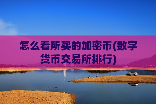怎么看所买的加密币(数字货币交易所排行)