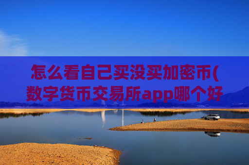 怎么看自己买没买加密币(数字货币交易所app哪个好)