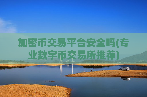 加密币交易平台安全吗(专业数字币交易所推荐)