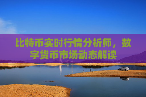 比特币实时行情分析师，数字货币市场动态解读