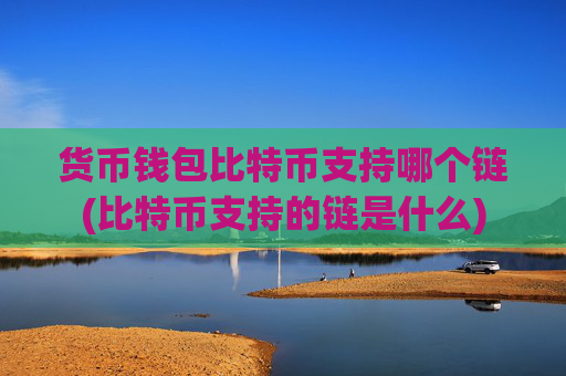 货币钱包比特币支持哪个链(比特币支持的链是什么)