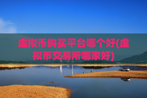虚拟币购买平台哪个好(虚拟币交易所哪家好)