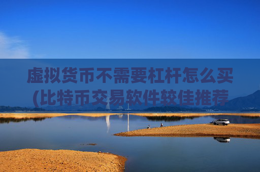 虚拟货币不需要杠杆怎么买(比特币交易软件较佳推荐)
