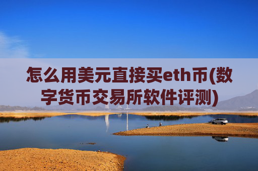 怎么用美元直接买eth币(数字货币交易所软件评测)