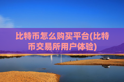 比特币怎么购买平台(比特币交易所用户体验)