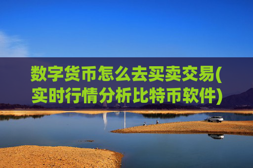 数字货币怎么去买卖交易(实时行情分析比特币软件)