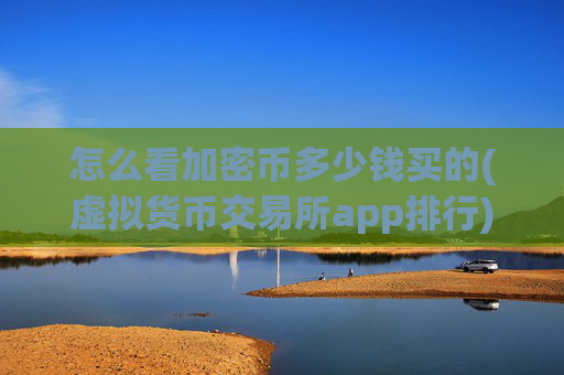 怎么看加密币多少钱买的(虚拟货币交易所app排行)