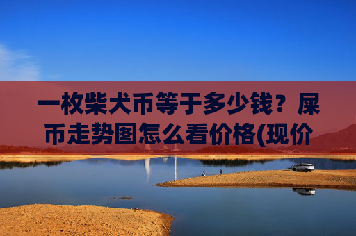 一枚柴犬币等于多少钱？屎币走势图怎么看价格(现价0.00022235元)
