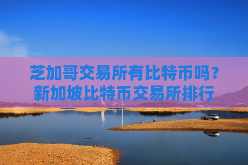 芝加哥交易所有比特币吗？新加坡比特币交易所排行