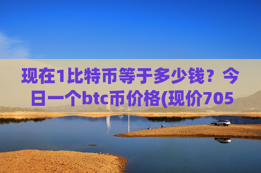 现在1比特币等于多少钱？今日一个btc币价格(现价705998.14元)