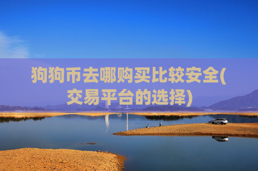 狗狗币去哪购买比较安全(交易平台的选择)