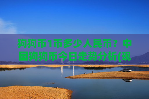 狗狗币1币多少人民币？中国狗狗币今日走势分析(现价3.1632元)