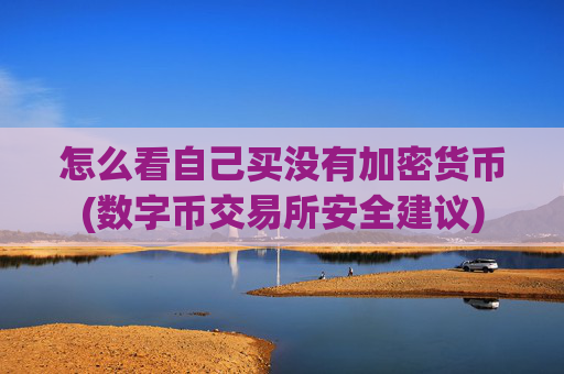 怎么看自己买没有加密货币(数字币交易所安全建议)