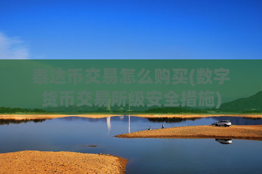 泰达币交易怎么购买(数字货币交易所级安全措施)