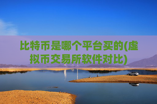 比特币是哪个平台买的(虚拟币交易所软件对比)