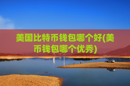 美国比特币钱包哪个好(美币钱包哪个优秀)