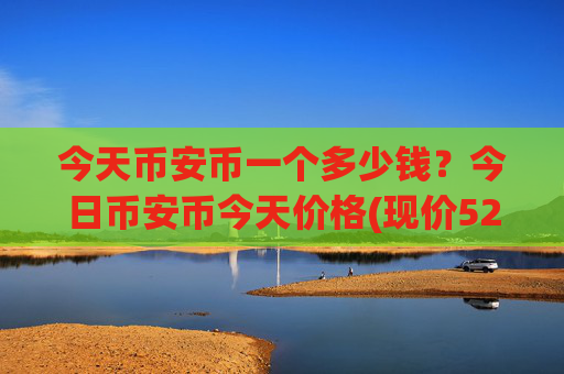 今天币安币一个多少钱？今日币安币今天价格(现价5290.64元)