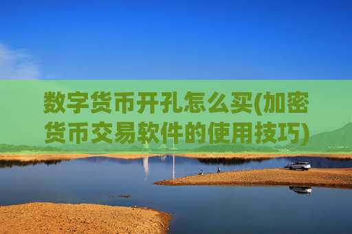 数字货币开孔怎么买(加密货币交易软件的使用技巧)