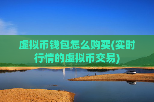 虚拟币钱包怎么购买(实时行情的虚拟币交易)
