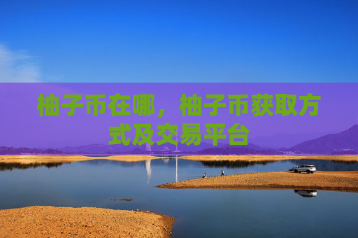 柚子币在哪，柚子币获取方式及交易平台