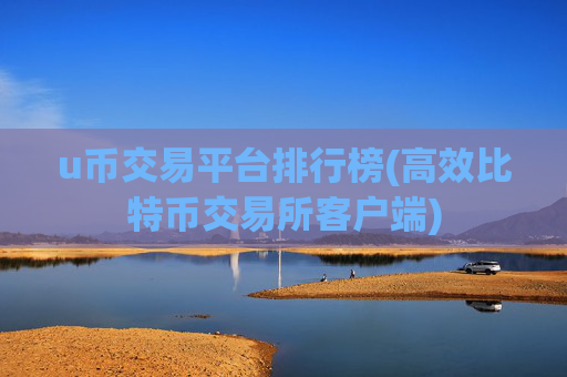 u币交易平台排行榜(高效比特币交易所客户端)