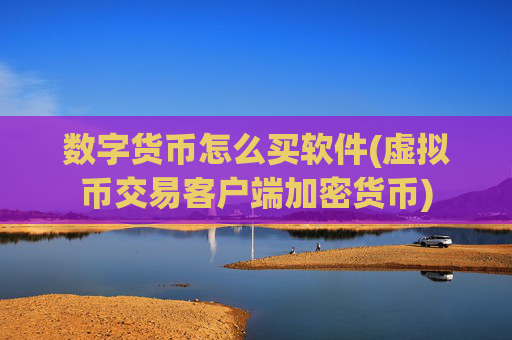 数字货币怎么买软件(虚拟币交易客户端加密货币)
