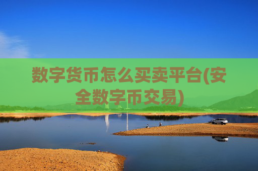 数字货币怎么买卖平台(安全数字币交易)