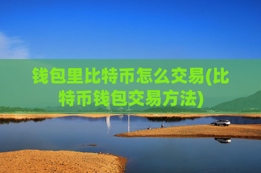 钱包里比特币怎么交易(比特币钱包交易方法)