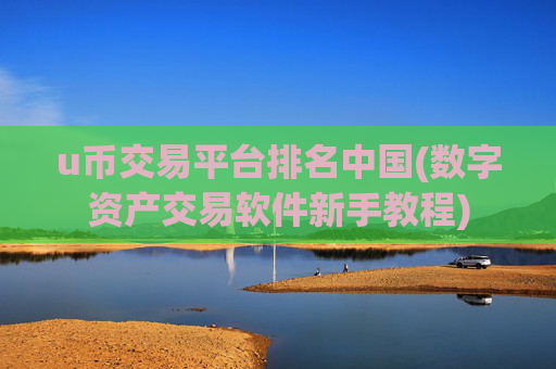 u币交易平台排名中国(数字资产交易软件新手教程)