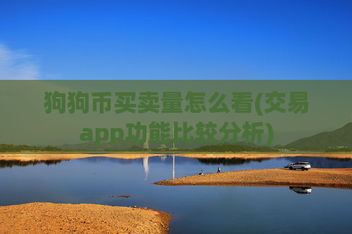 狗狗币买卖量怎么看(交易app功能比较分析)