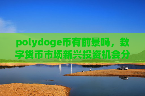polydoge币有前景吗，数字货币市场新兴投资机会分析