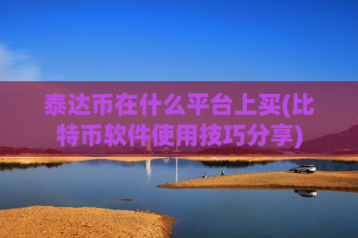 泰达币在什么平台上买(比特币软件使用技巧分享)