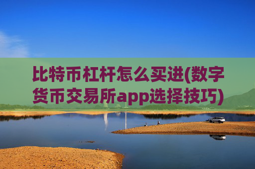 比特币杠杆怎么买进(数字货币交易所app选择技巧)