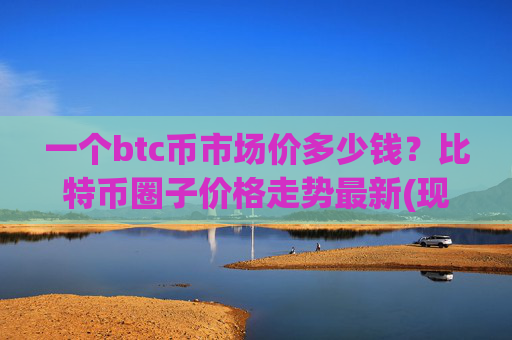 一个btc币市场价多少钱？比特币圈子价格走势最新(现价706284.64元)
